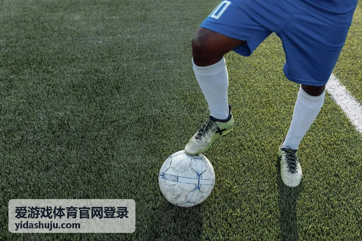 爱游戏体育官网登录登录入口说明