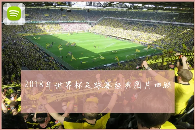 2018年世界杯足球赛经典图片回顾