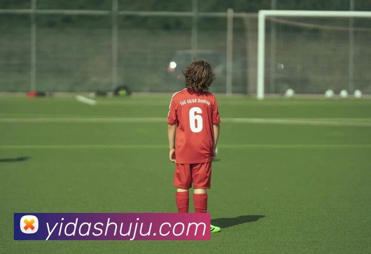 数据防护可视化